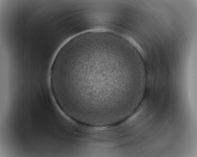 X0000092301484200709211222