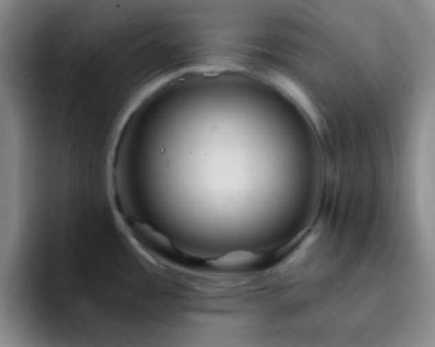 X0000092301485200709211222