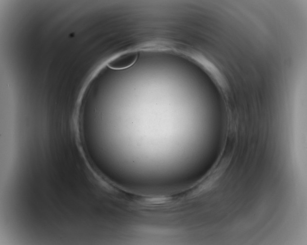 X0000092301486200709211222