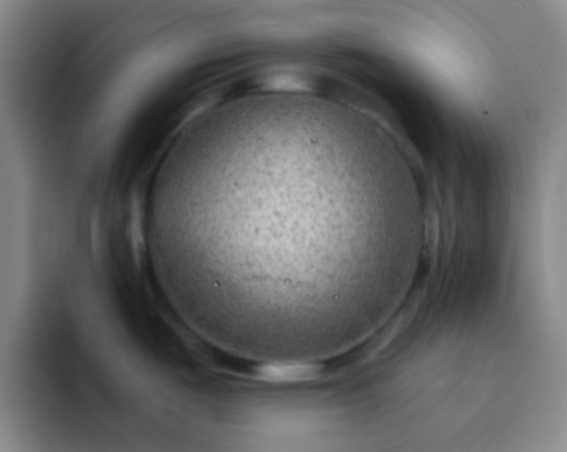 X0000092301487200709211222