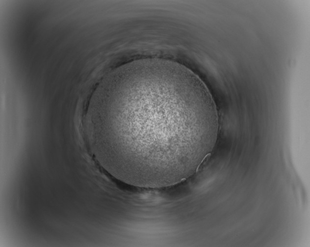 X0000092301489200709211221