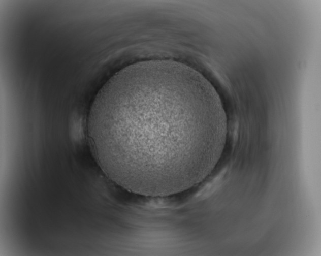 X0000092301490200709211222