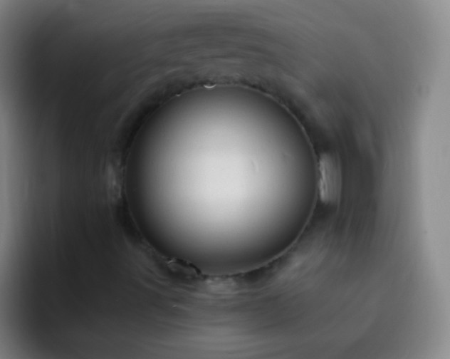 X0000092301491200709211222