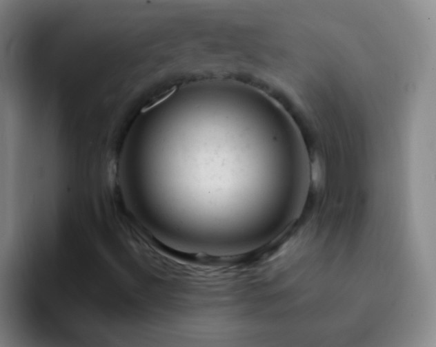 X0000092301492200709211222