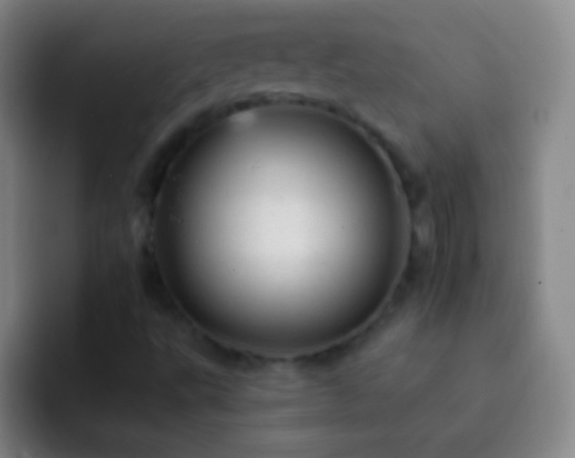 X0000092301495200709211222