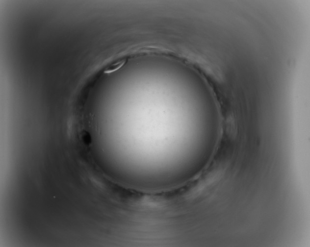 X0000092301496200709211222