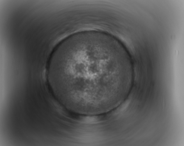 X0000092301497200709211222