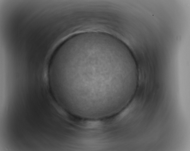 X0000092301498200709211222