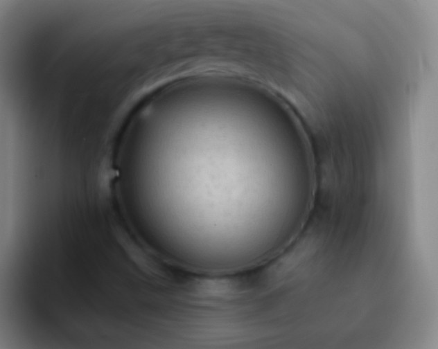 X0000092301499200709211222