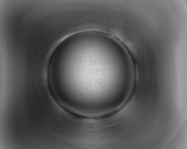 X0000092301500200709211222