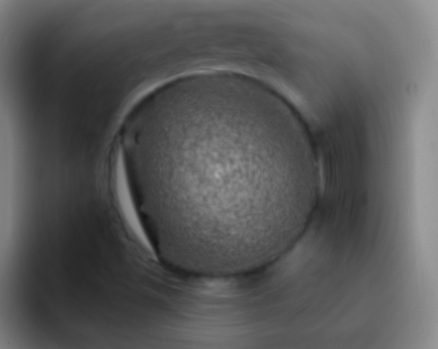 X0000092301501200709211222