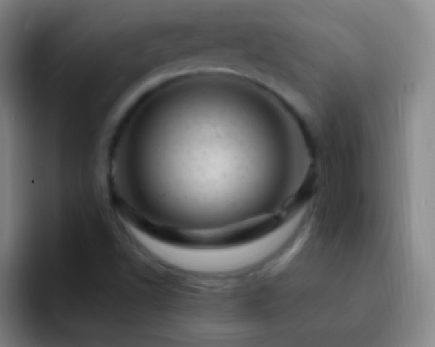 X0000092301502200709211222