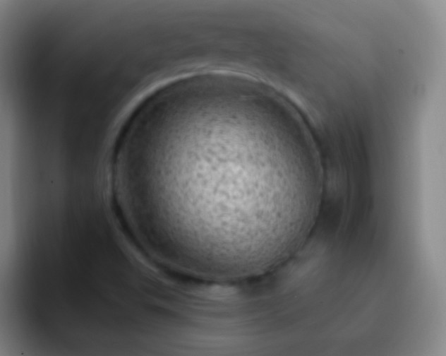 X0000092301503200709211222