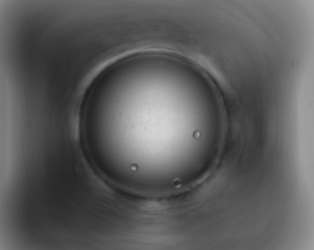 X0000092301504200709211222