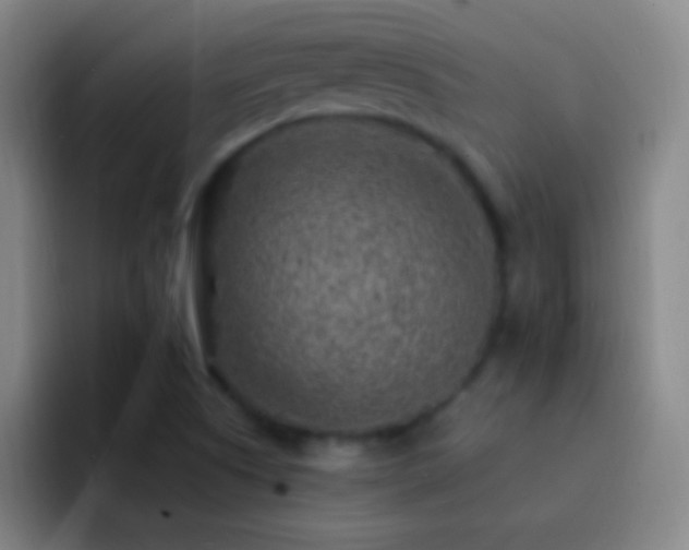 X0000092301505200709211222