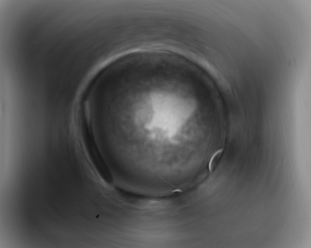 X0000092301506200709211222