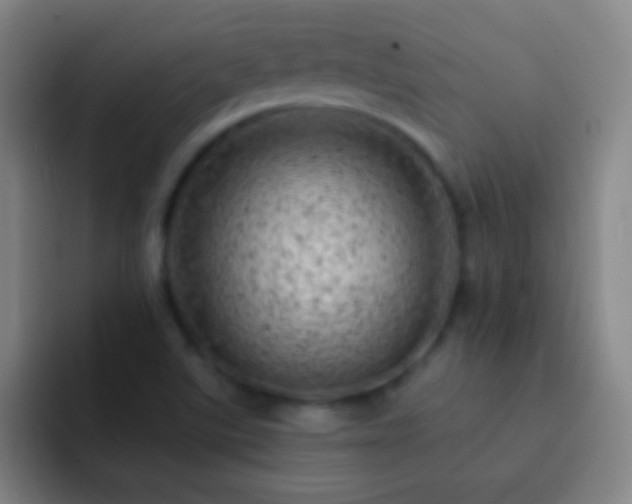 X0000092301507200709211222