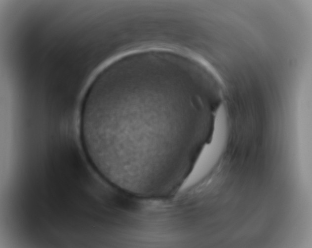 X0000092301508200709211222