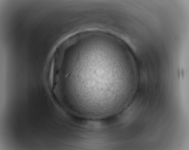 X0000092301509200709211222