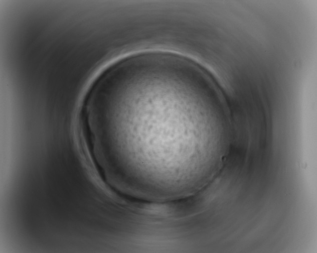 X0000092301511200709211222