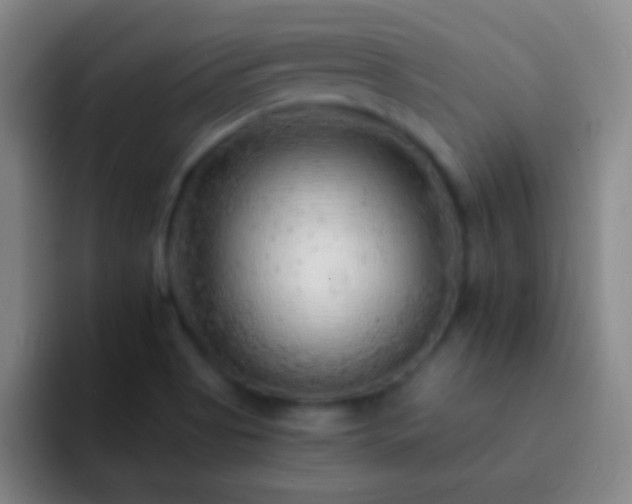 X0000092301513200709211222