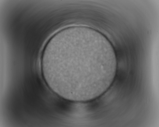 X0000092301514200709211222