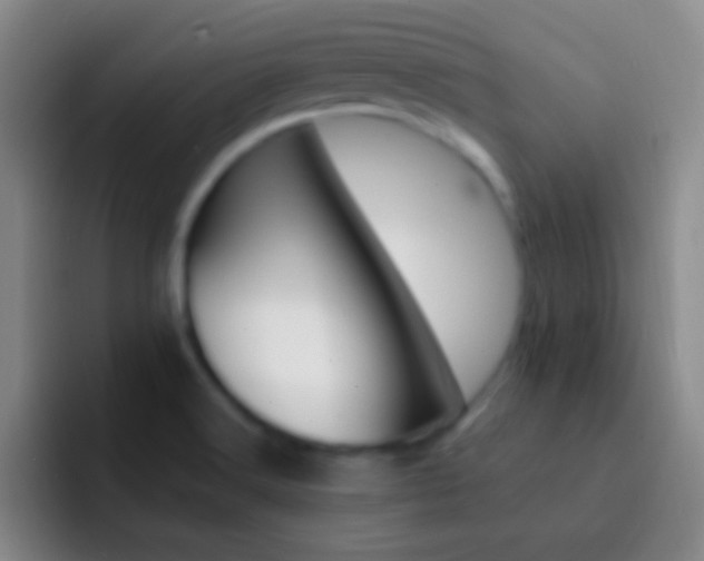 X0000092301516200709211222