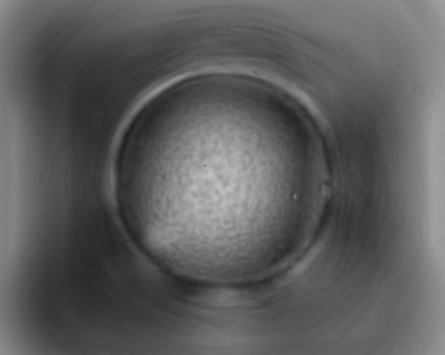 X0000092301517200709211222