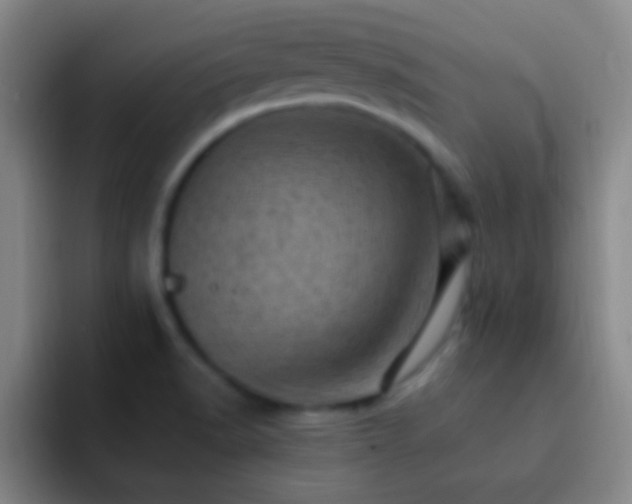 X0000092301518200709211222