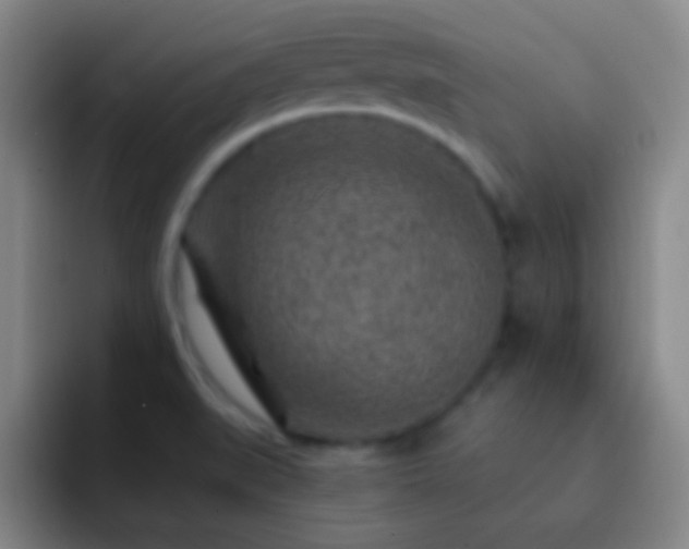 X0000092301519200709211222