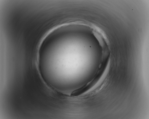 X0000092301520200709211222