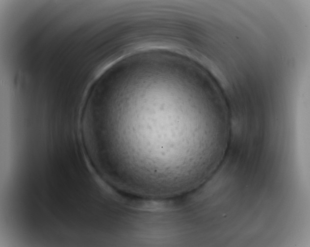 X0000092301521200709211222