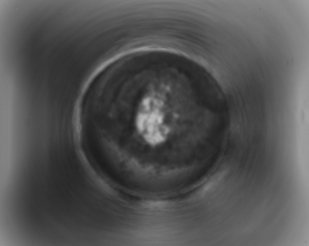 X0000092301522200709211222