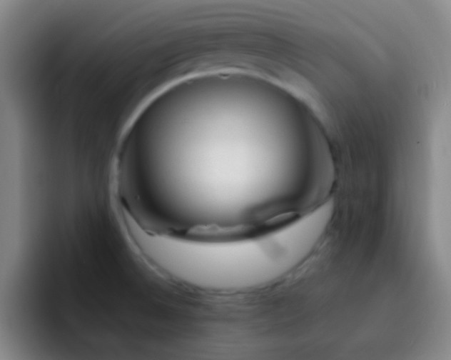 X0000092301524200709211222