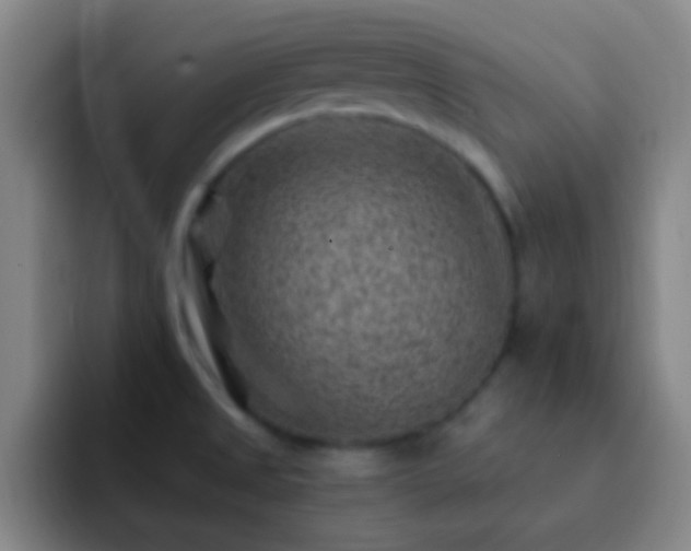 X0000092301525200709211222