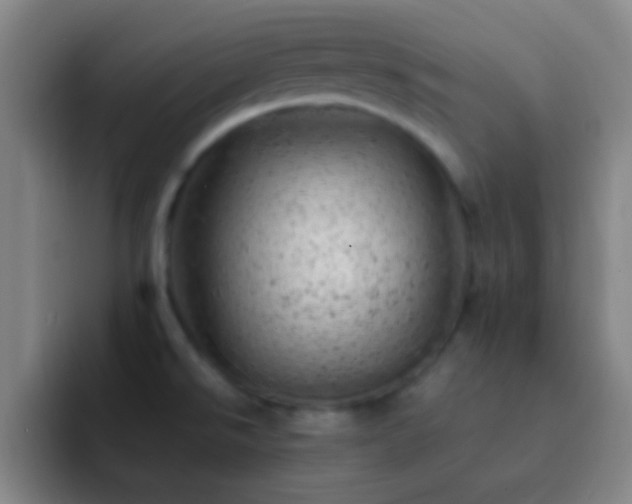 X0000092301526200709211222