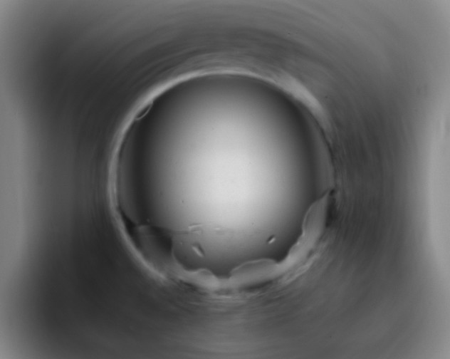 X0000092301528200709211222