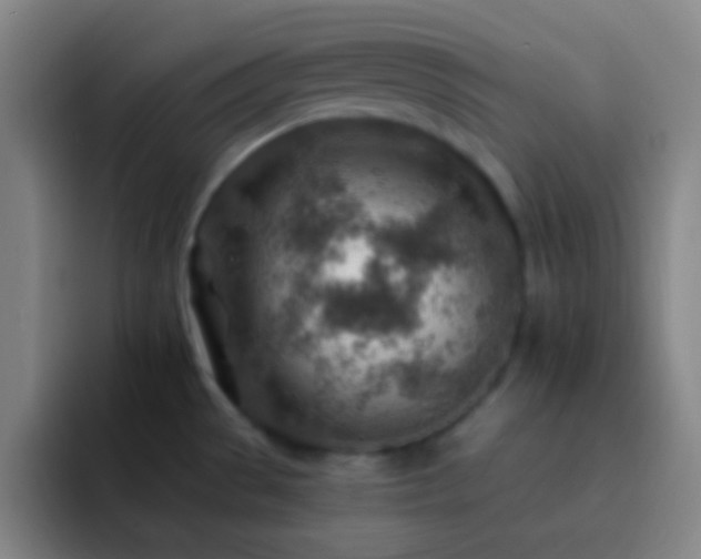 X0000092301529200709211222