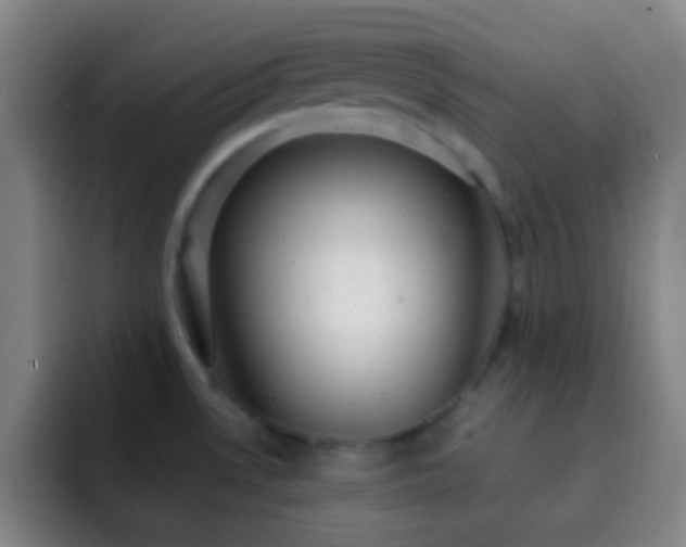 X0000092301530200709211222
