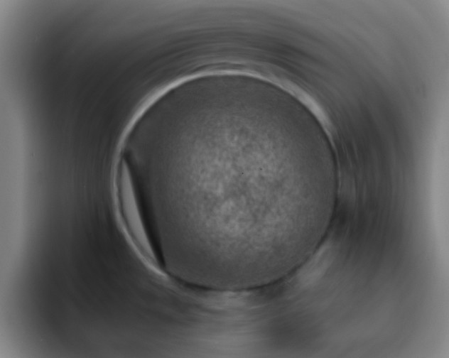 X0000092301533200709211222