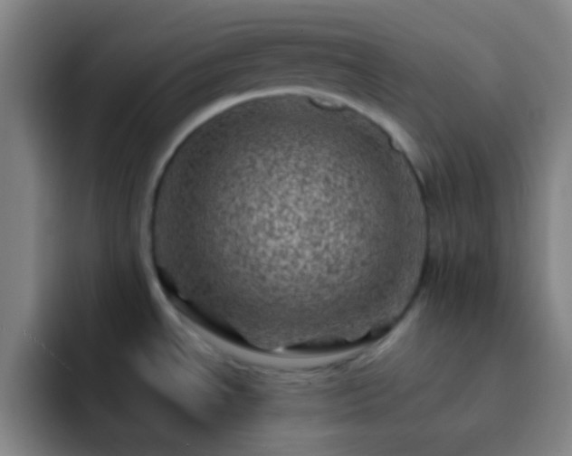 X0000092301534200709211222