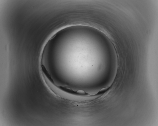 X0000092301536200709211222