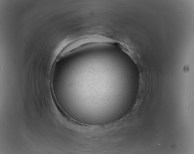 X0000092300003200709281336