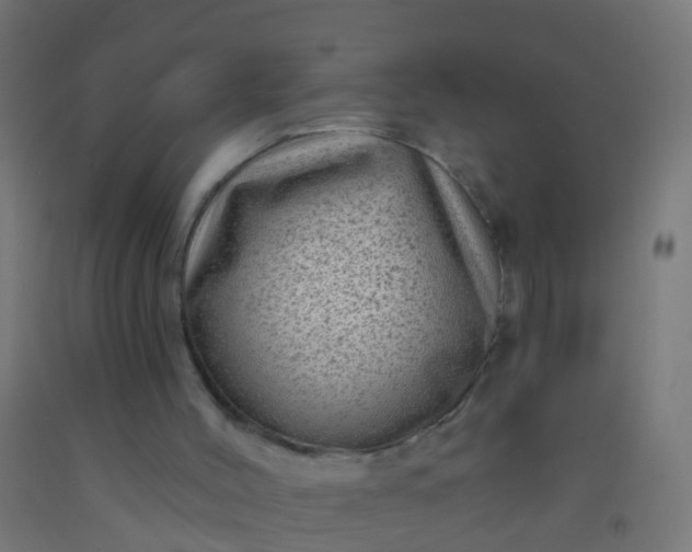 X0000092300004200709281336