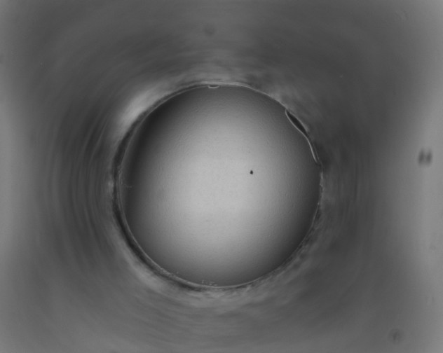 X0000092300005200709281336