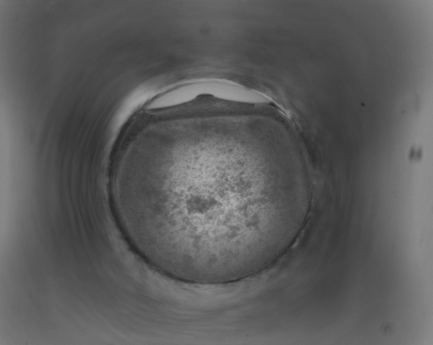 X0000092300006200709281336