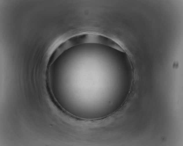 X0000092300007200709281336