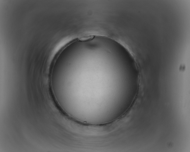 X0000092300008200709281336