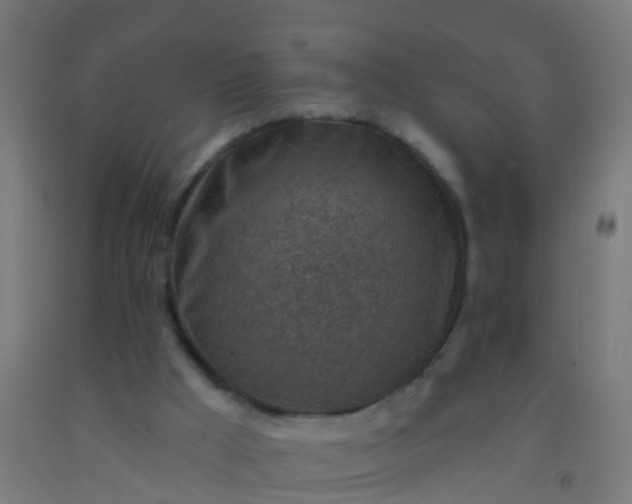 X0000092300009200709281336