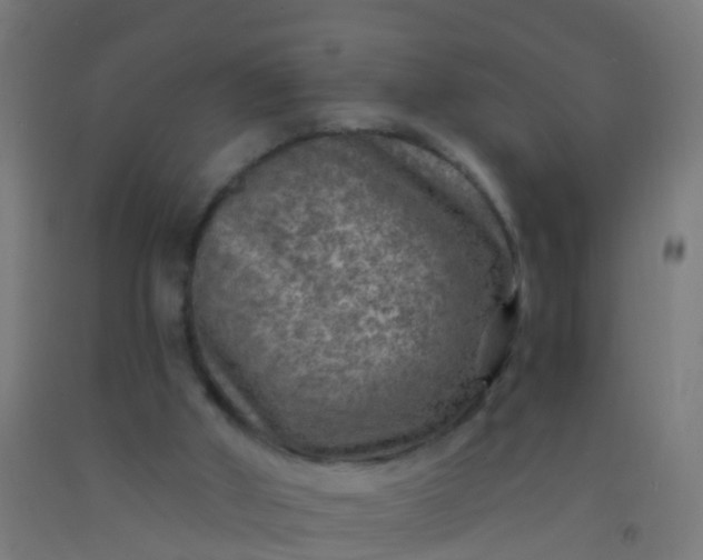 X0000092300010200709281336